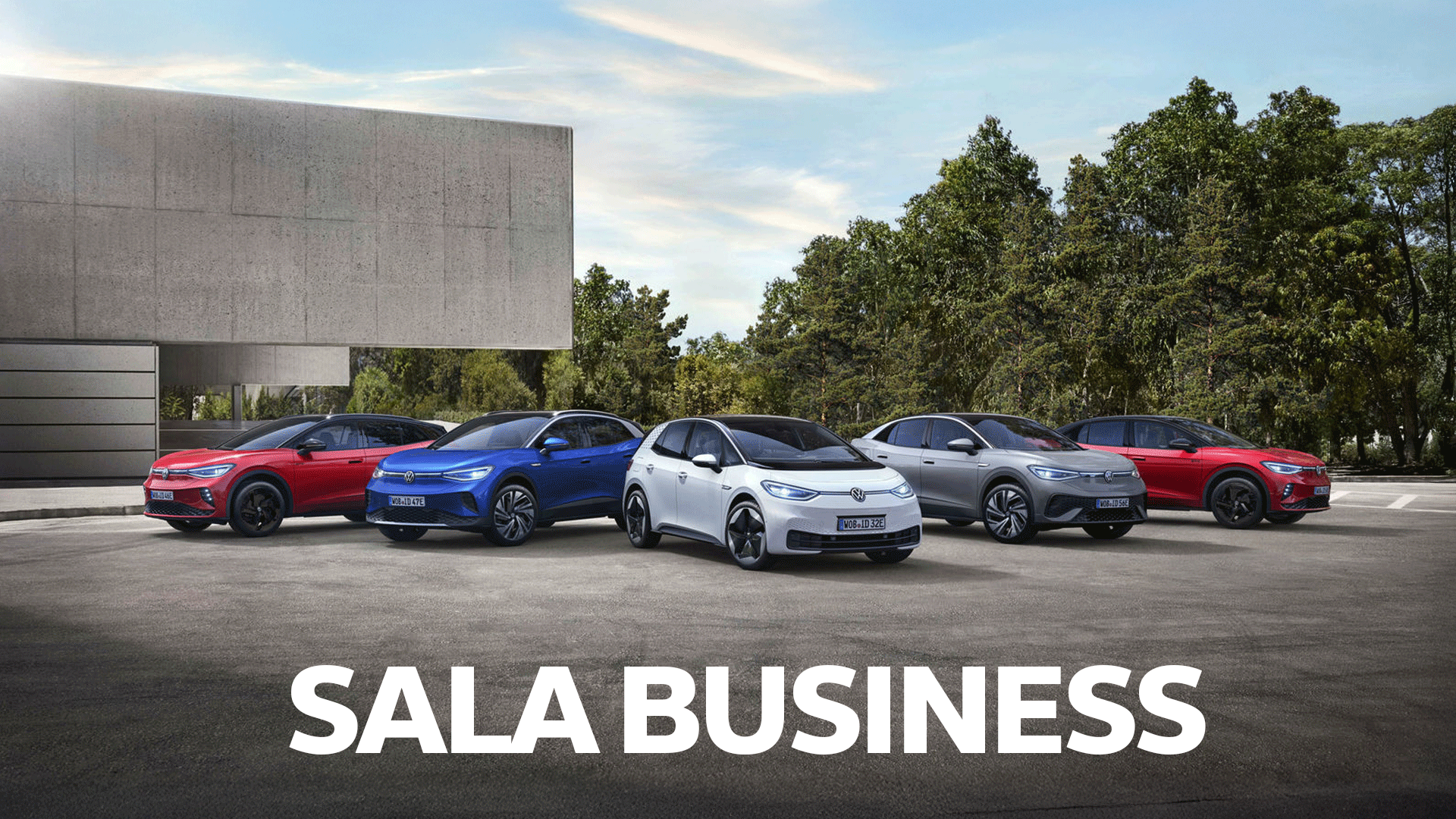 VW Empresas y Colectivos